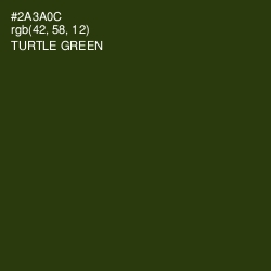 #2A3A0C - Turtle Green Color Image
